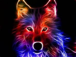 colorful fox