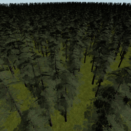 Epic Forest