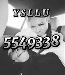 y s l l u