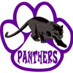 Purple Panther Gymnastics