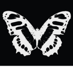 …*Goth Clothing*…