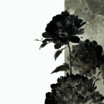 Iron Roses