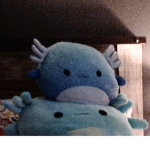 susy axolotl in my room!