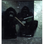 South Peckham [OFFICIAL GROUP]
