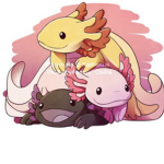 Official Axolotl Group