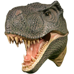 dino crew offfical