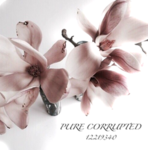 PURE CORRUPTED Group Thumbnail