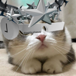 Lugu's UGC