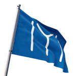 IYI Fan