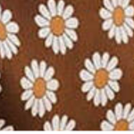 ~Happy Daisies~