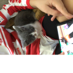 Milo is my cat