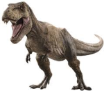 CRAZY DAVERS