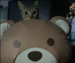 daintybear's