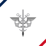 Les Forces Arméеs Françaises