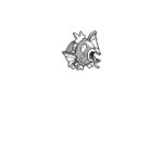 Reflective Magikarp Squad
