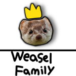 Weasel Family