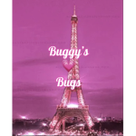 Buggy’s Bugs
