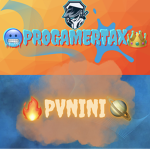 Official Pvnini and ProGamerTax fan group