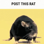 People that do stupid stuff