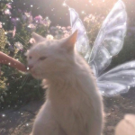 ∙ nors faeries ∙