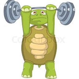 Turtle Training camp. (About Complete Read des)