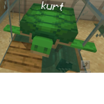 Kurt the Turtle Fanclub