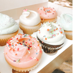 {cucakes_officials}!!
