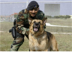 Wazzzzzups Military