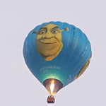 Bad Kiwi Army