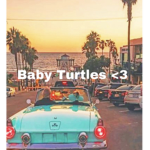 BabyTurtels
