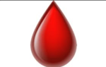 The offical blood clan for the void leauge