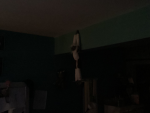 Monkey is hanging off the wall
