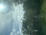 The fairy_group