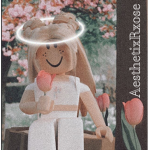 Aesthetic’s Fan Group