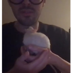 Rats In The Corner