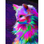Kittys!!!!!!