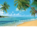 Beachy Summertime