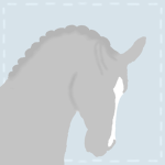 +. Cloud Hill Stables .+