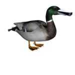 ps5 duck gangsters