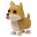 vendo pets a buen precio