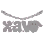 ꒰♡ · xav ˚. ᵎᵎ