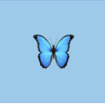 Blue butterfly_roblox
