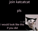 katcatcat United