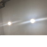 FastTiger123456