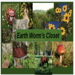 *~Earthworms Closet~*