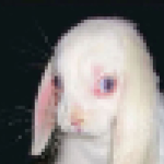 LostEyes