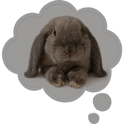 Bunny On My Mind Roblox item