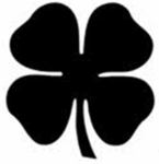 Black Clover