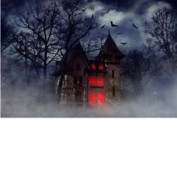 The Haunted House