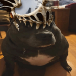 YUZ1